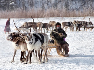 «Кар-Нат»-2020:  21 и 22 февраля оленеводы района дадут старт Дням оленевода на Ямале 
